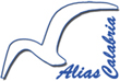 progetto Ali